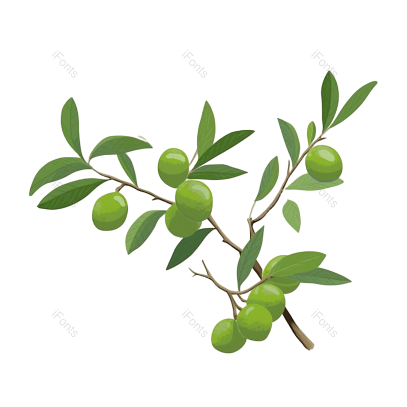 水果图片,绿色元素,植物PNG,食品免抠素材
